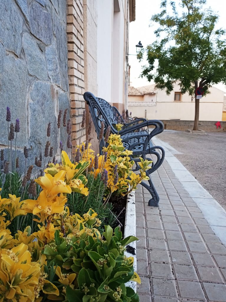 Plaza pedaneo Yañez